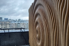 Оливковый-дом_010