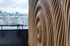 Оливковый-дом_021