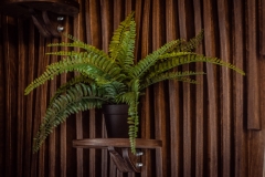 Шарапово_0011