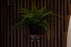 Шарапово_0015