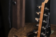 Stand-Guitar_019