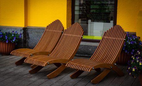 Шезлонги в Московском Зоопарке